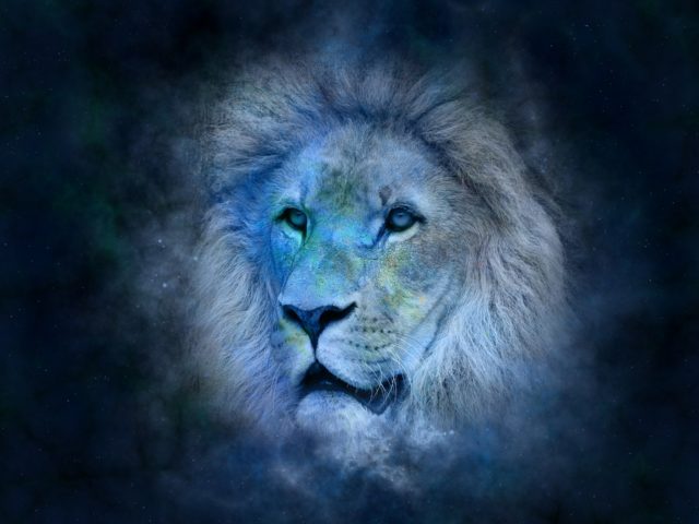 https://www.astriefuturo.it/wp-content/uploads/2019/03/caratteristiche-segno-leone-640x480.jpg